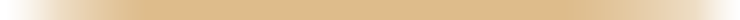 Section Divider